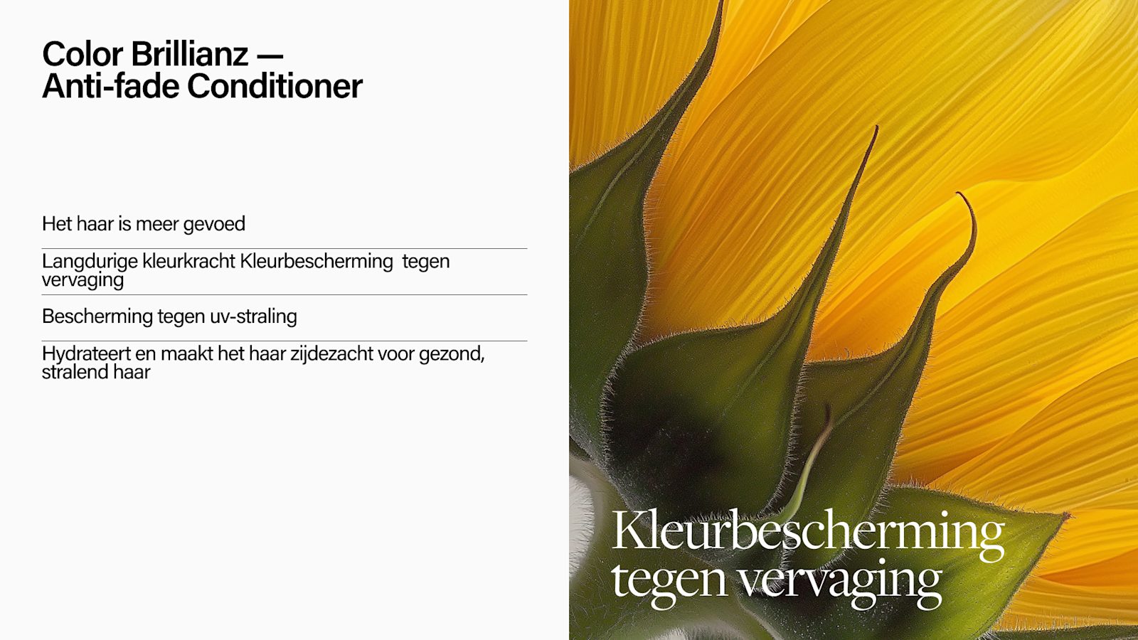 Brede campagnefoto van de Keune Color Brillianz Conditioner