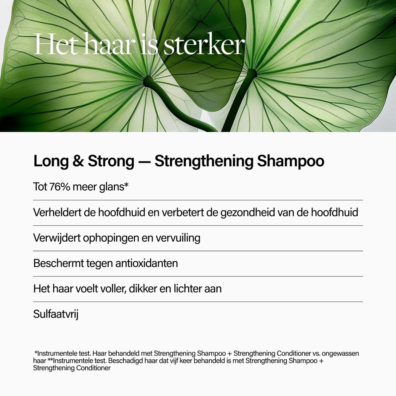 Keune Long & Strong Strengthening Shampoo op een sfeerbeeld van Keune