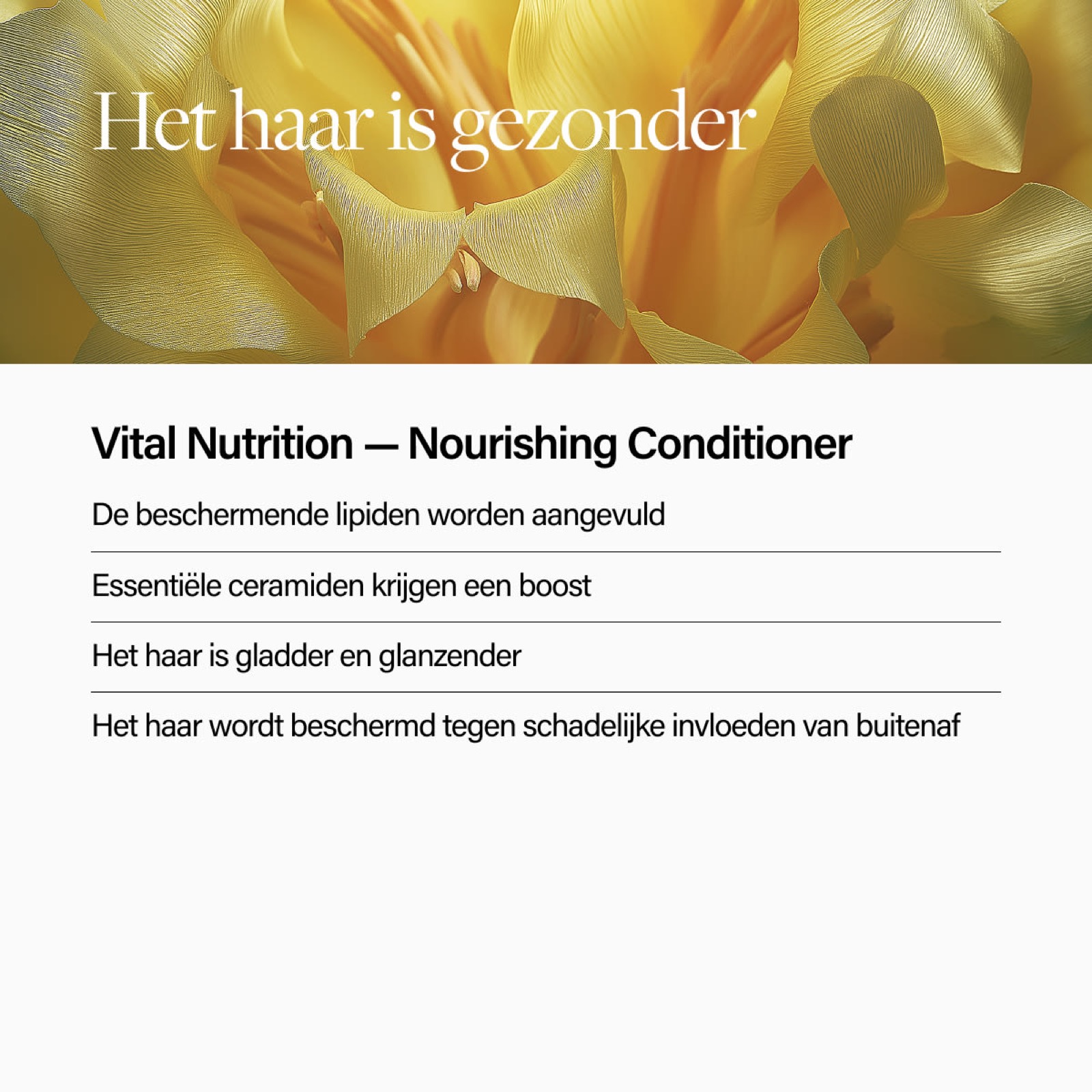 Campagnebeeld van de Keune Vital Nutrition Conditioner